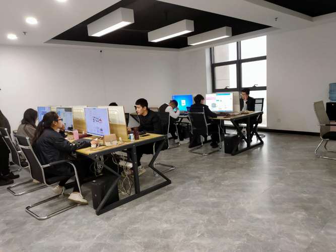 網絡技術服務企業的三維生長 從技術深耕到生態共贏
